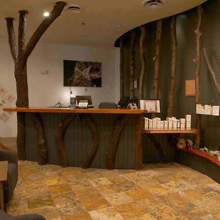 霍普湖畔小屋酒店及室内水上乐园 科特兰 外观 照片